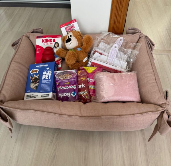 Kit Pet